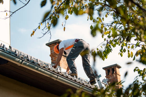 Best Solar Panel Roofing Installation  in Lincoln, IL