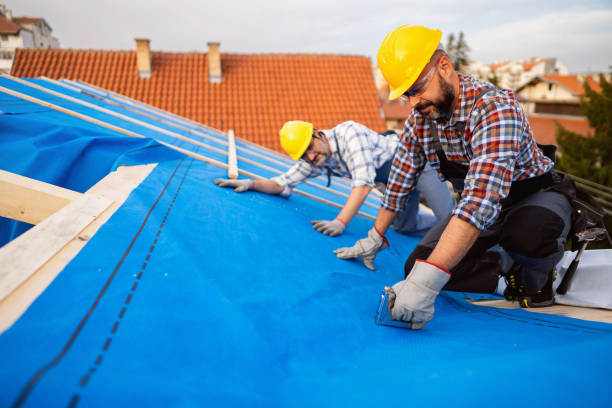 Best Roof Moss and Algae Removal  in Lincoln, IL